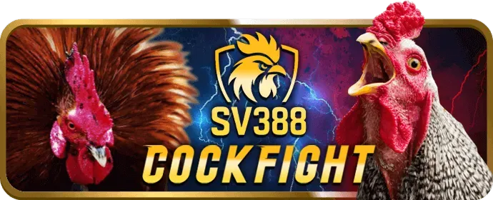 Phân tích chiến lược cá cược và ưu đãi ku11 bet